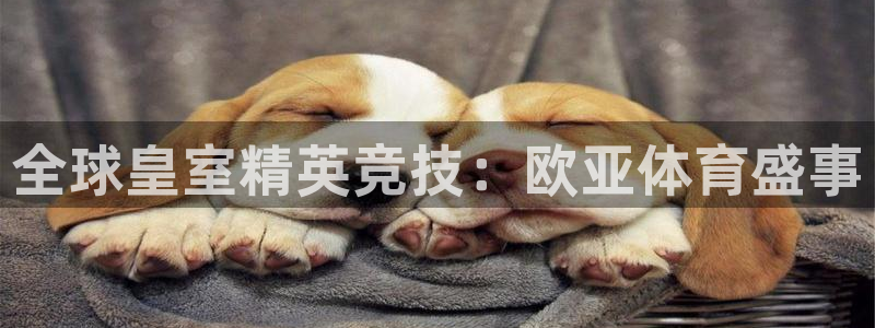 ug环球官网登录入口：全球皇室精英竞技：欧亚体育盛事