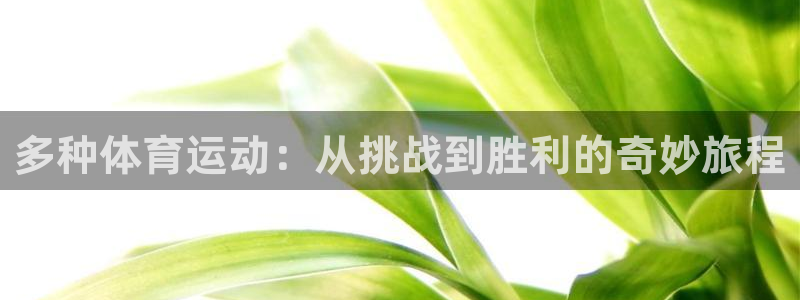 ug环球官网登录入口：多种体育运动：从挑战到胜利的奇妙旅程