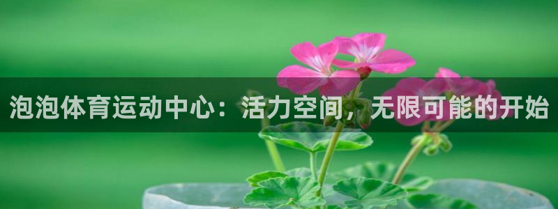 ug环球官网注册：泡泡体育运动中心：活力空间，无限可能的开始