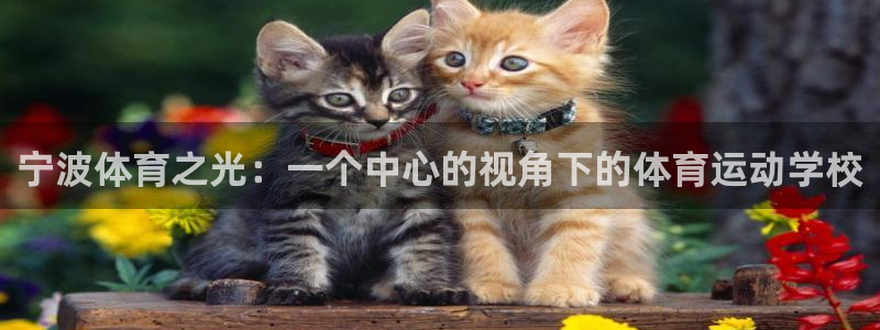 ug环球官网注册：宁波体育之光：一个中心的视角下的体育运动学校