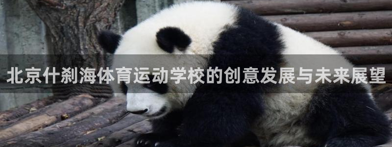 ug环球官网登录入口：北京什刹海体育运动学校的创意发展与未来展望
