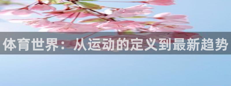 菲律宾ug环球官网：体育世界：从运动的定义到最新趋势