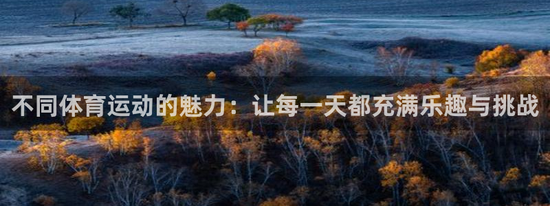 菲律宾ug环球官网：不同体育运动的魅力：让每一天都充满乐趣与挑战