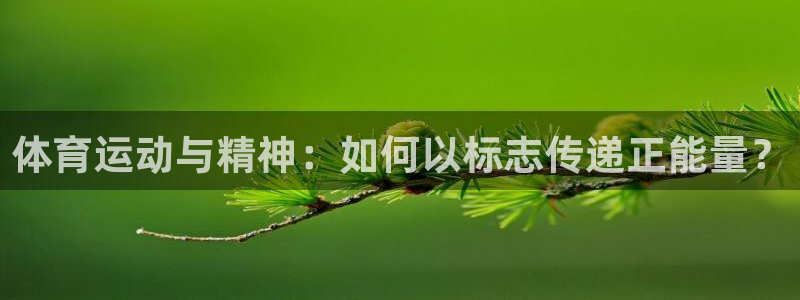 ug环球官网注册：体育运动与精神：如何以标志传递正能量？