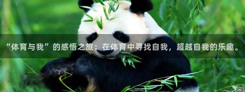 ug环球官网注册：“体育与我”的感悟之旅：在体育中寻找自我，超越自我的乐趣。