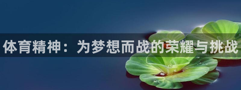 菲律宾ug环球官网：体育精神：为梦想而战的荣耀与挑战