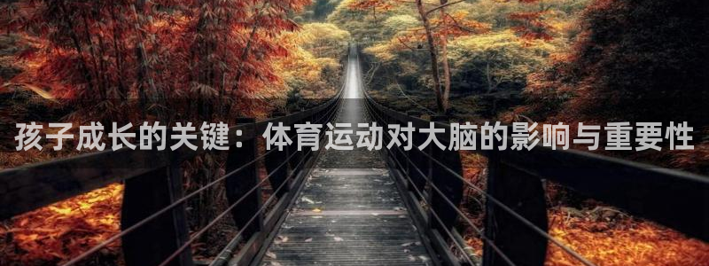 ug环球官网注册：孩子成长的关键：体育运动对大脑的影响与重要性