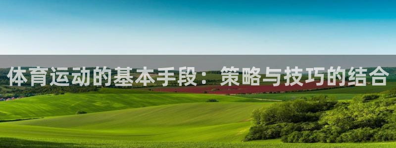 菲律宾ug环球官网：体育运动的基本手段：策略与技巧的结合