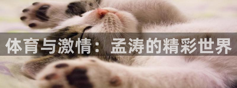 ug环球官网登录入口：体育与激情：孟涛的精彩世界