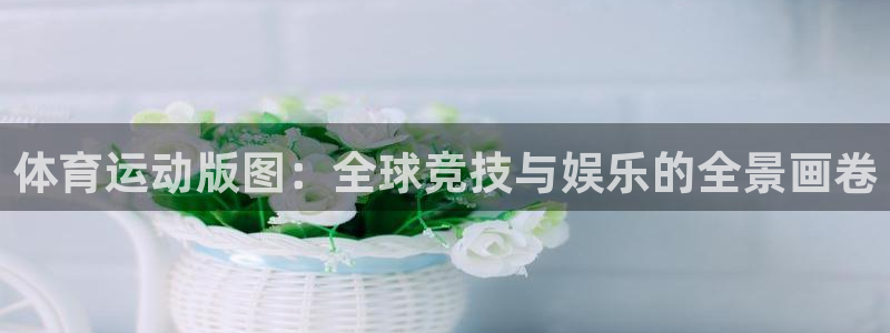 菲律宾ug环球官网：体育运动版图：全球竞技与娱乐的全景画卷