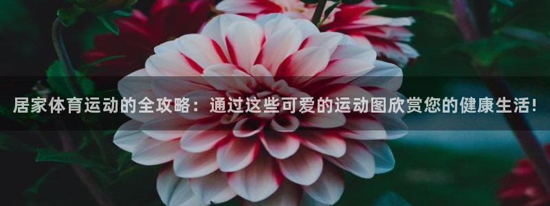 ug环球官网登录入口：居家体育运动的全攻略：通过这些可爱的运动图欣赏您的健康生活!