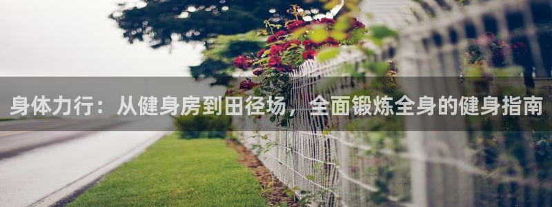 菲律宾ug环球官网：身体力行：从健身房到田径场，全面锻炼全身的健身指南