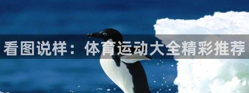 ug环球官网注册：看图说样：体育运动大全精彩推荐